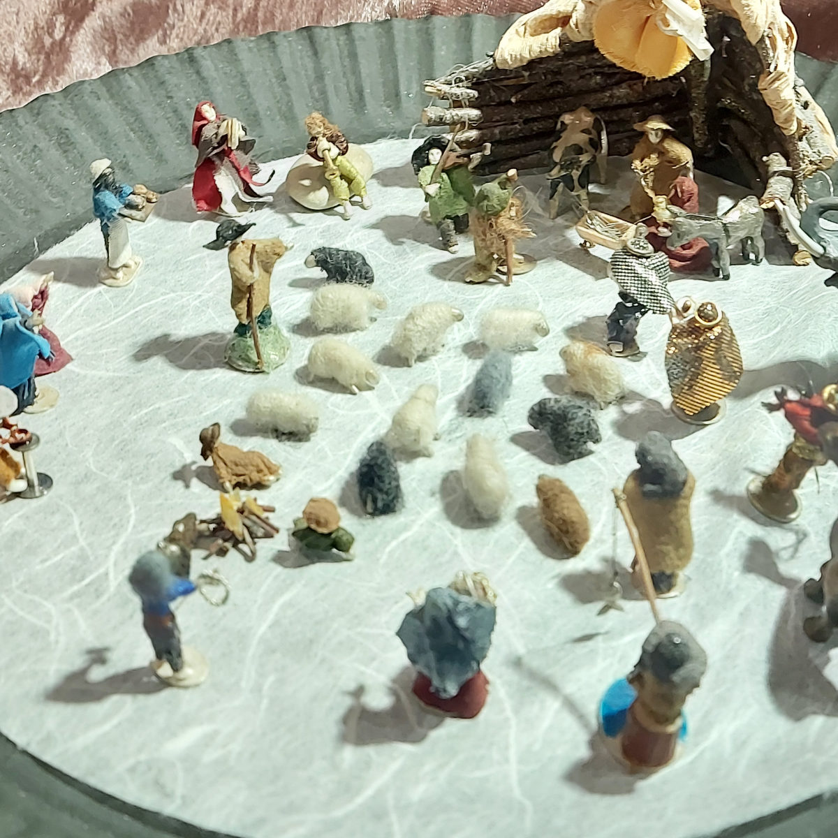 Julia zanella 20221206 224319