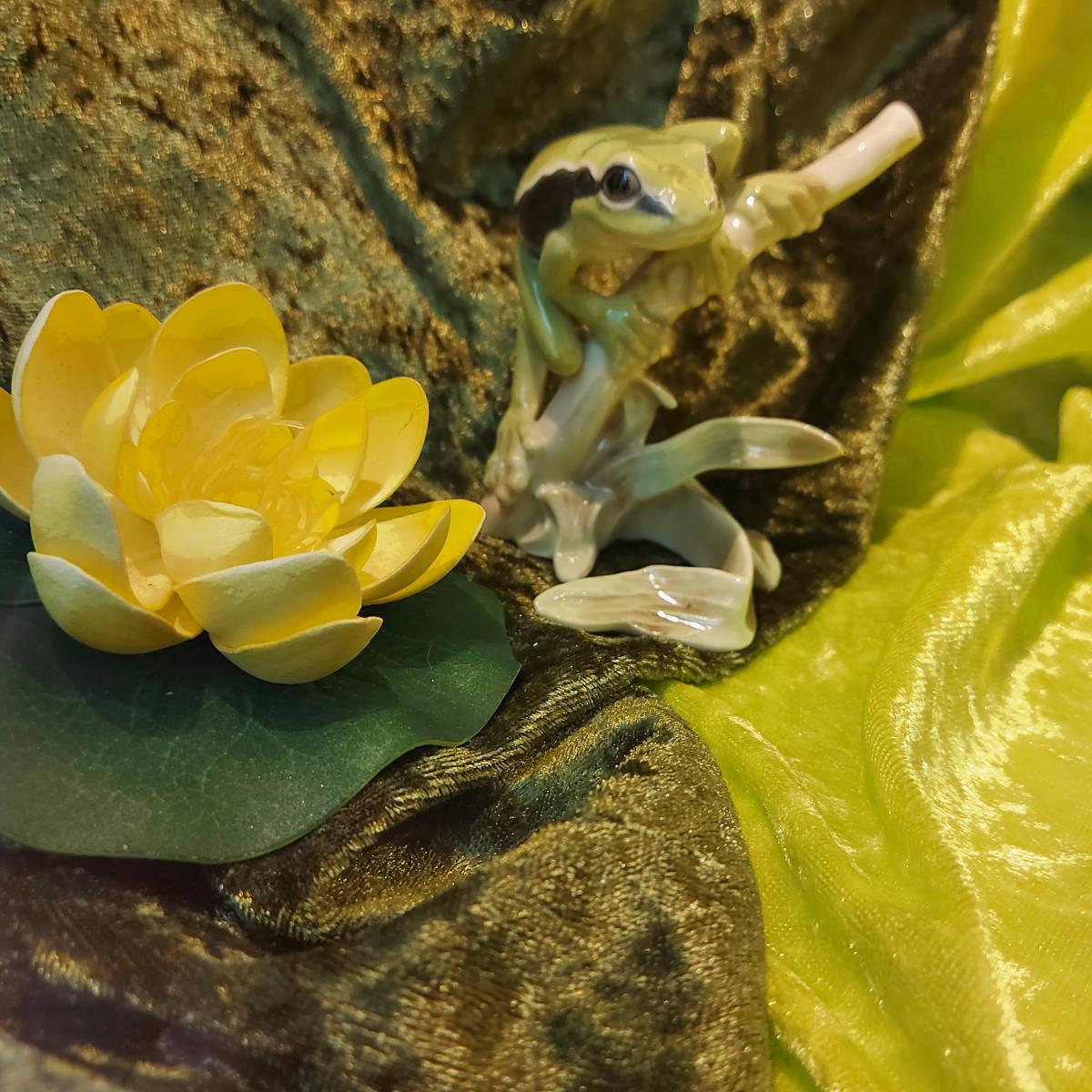 Julia zanella 20220531 194650