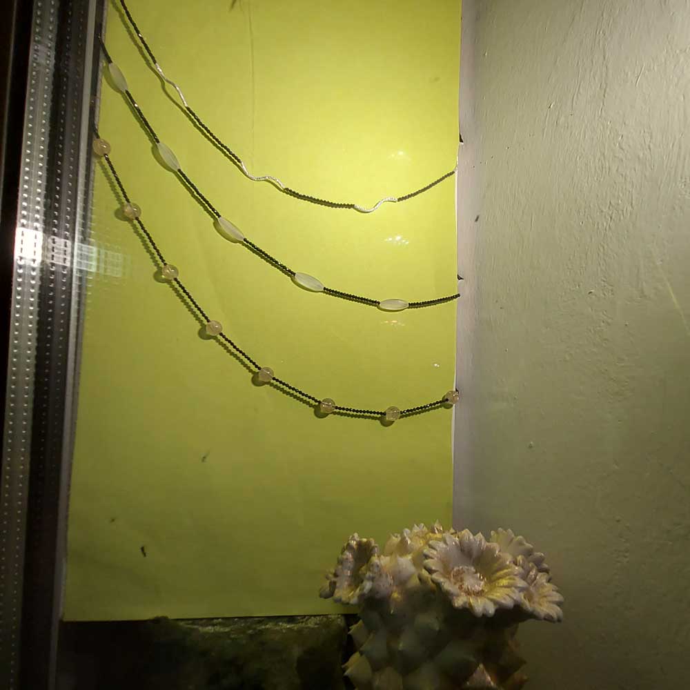 7 7 23 20230704 230436