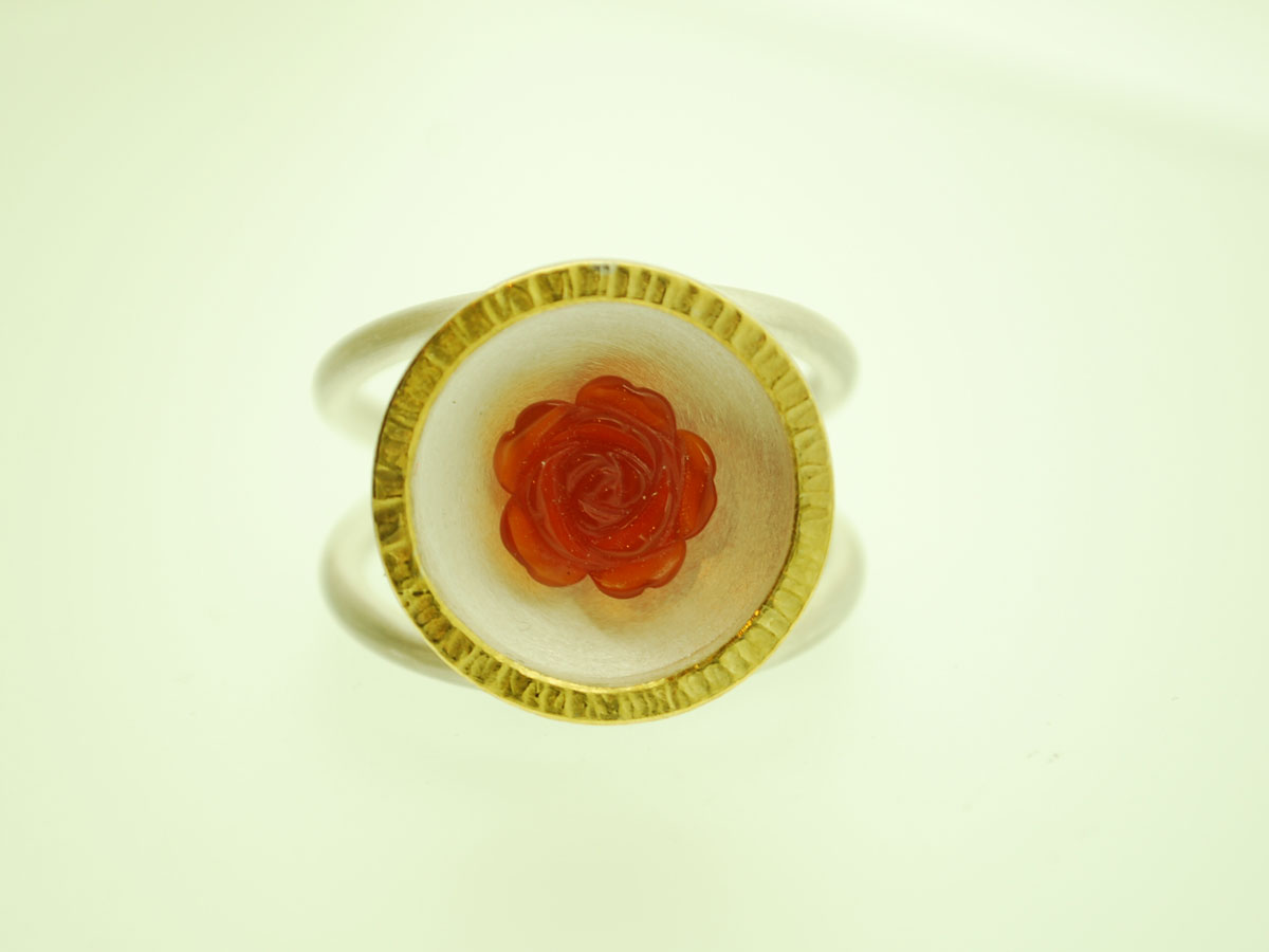 2015 jz Ringe CSC 0092