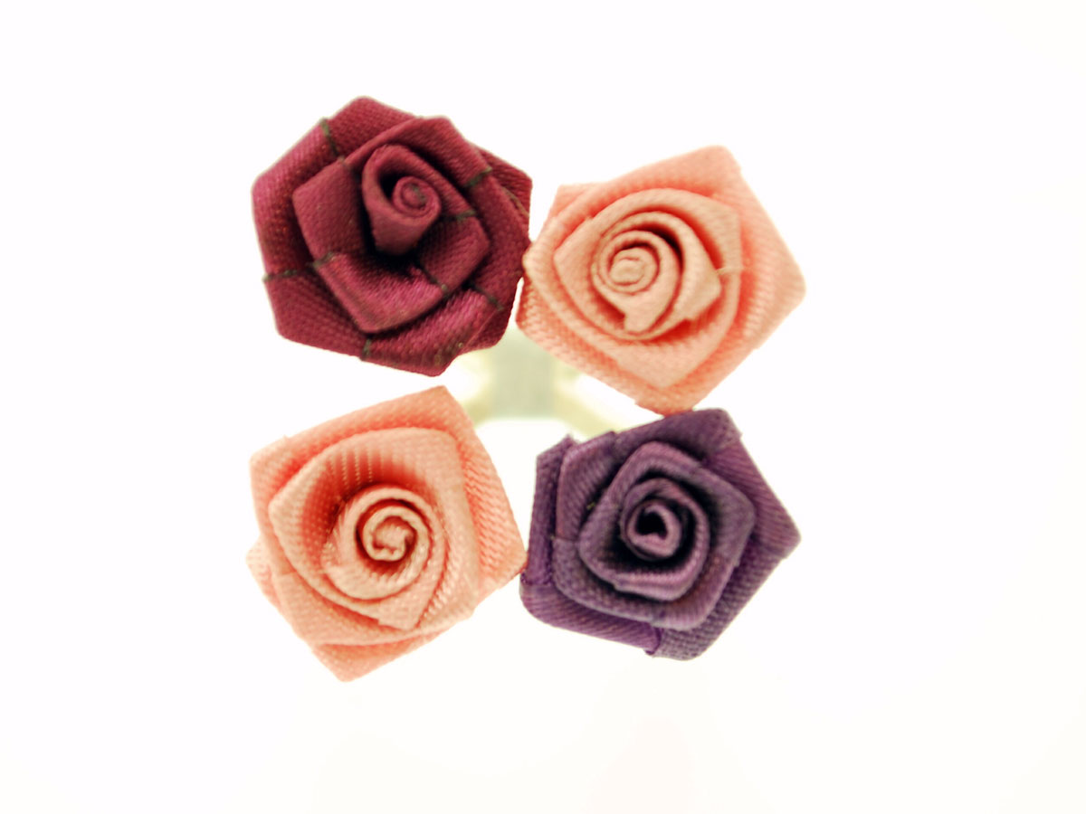 2015 jz Ringe CSC 0168