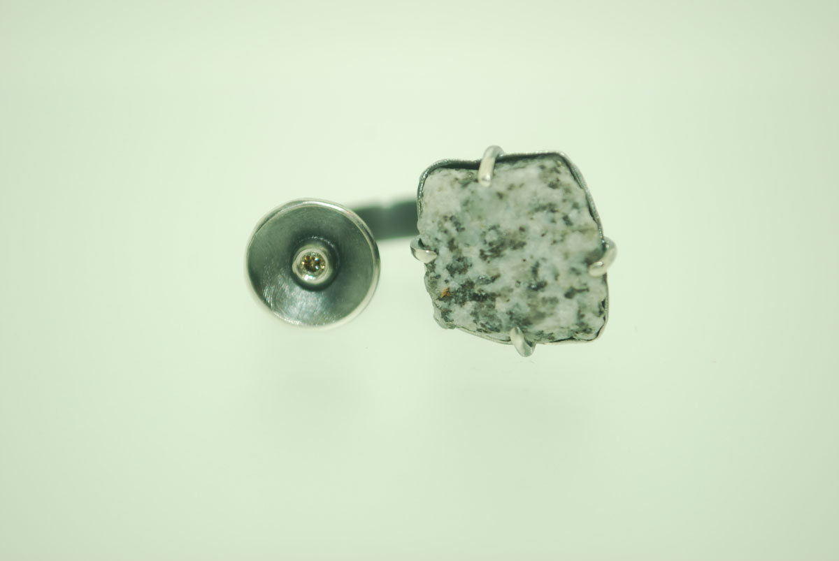 2015 jz Ringe DSC 0288