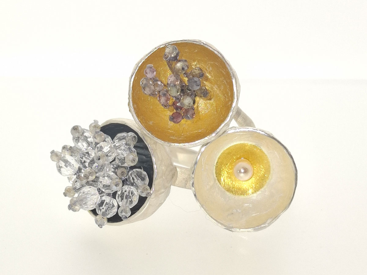 2025 JZ Ringe1000054661