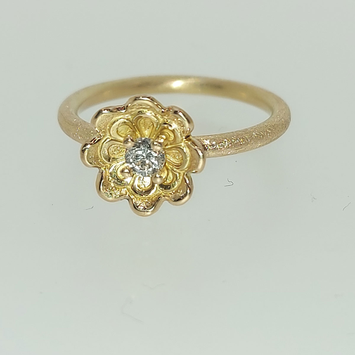 Julia Zanella 20240208 105229